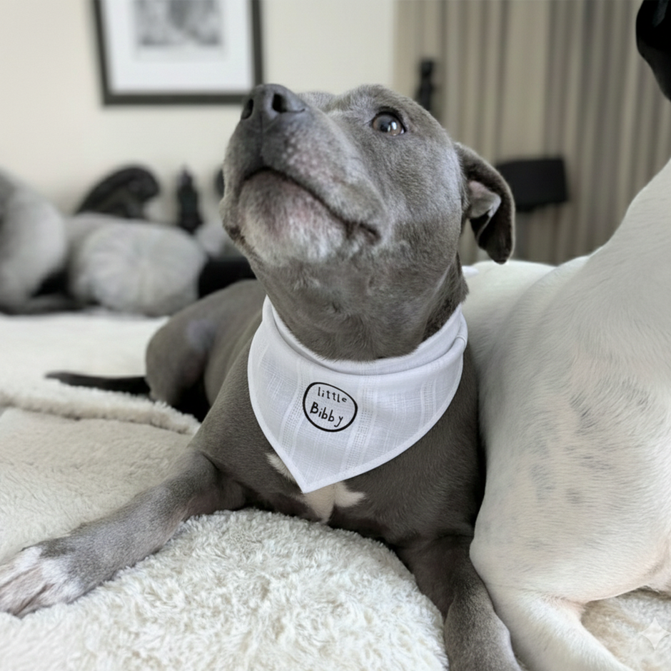 Doggy Bandana