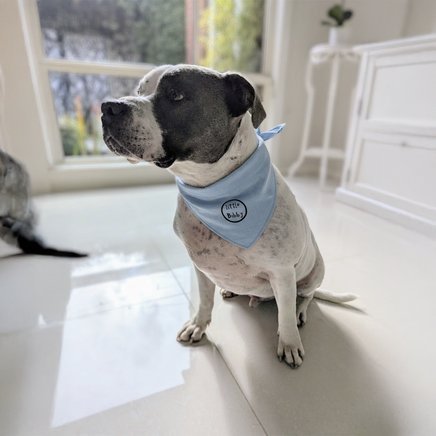 Doggy Bandana