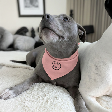 Doggy Bandana