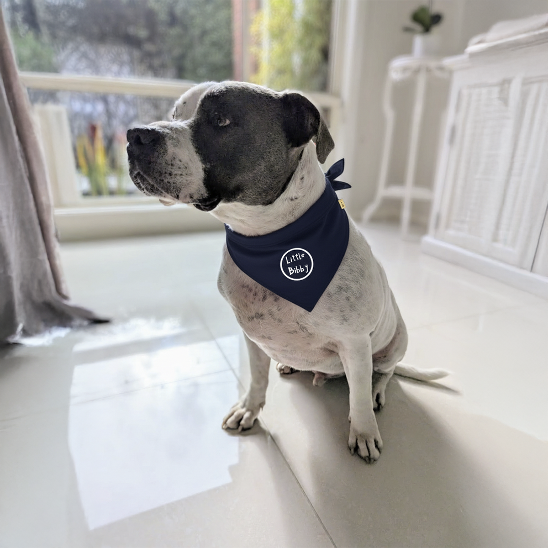 Doggy Bandana