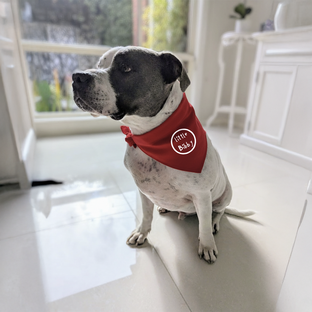 Doggy Bandana