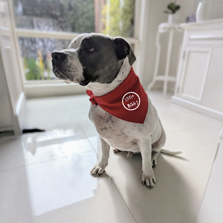 Doggy Bandana