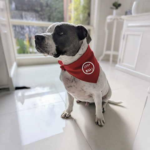 Doggy Bandana
