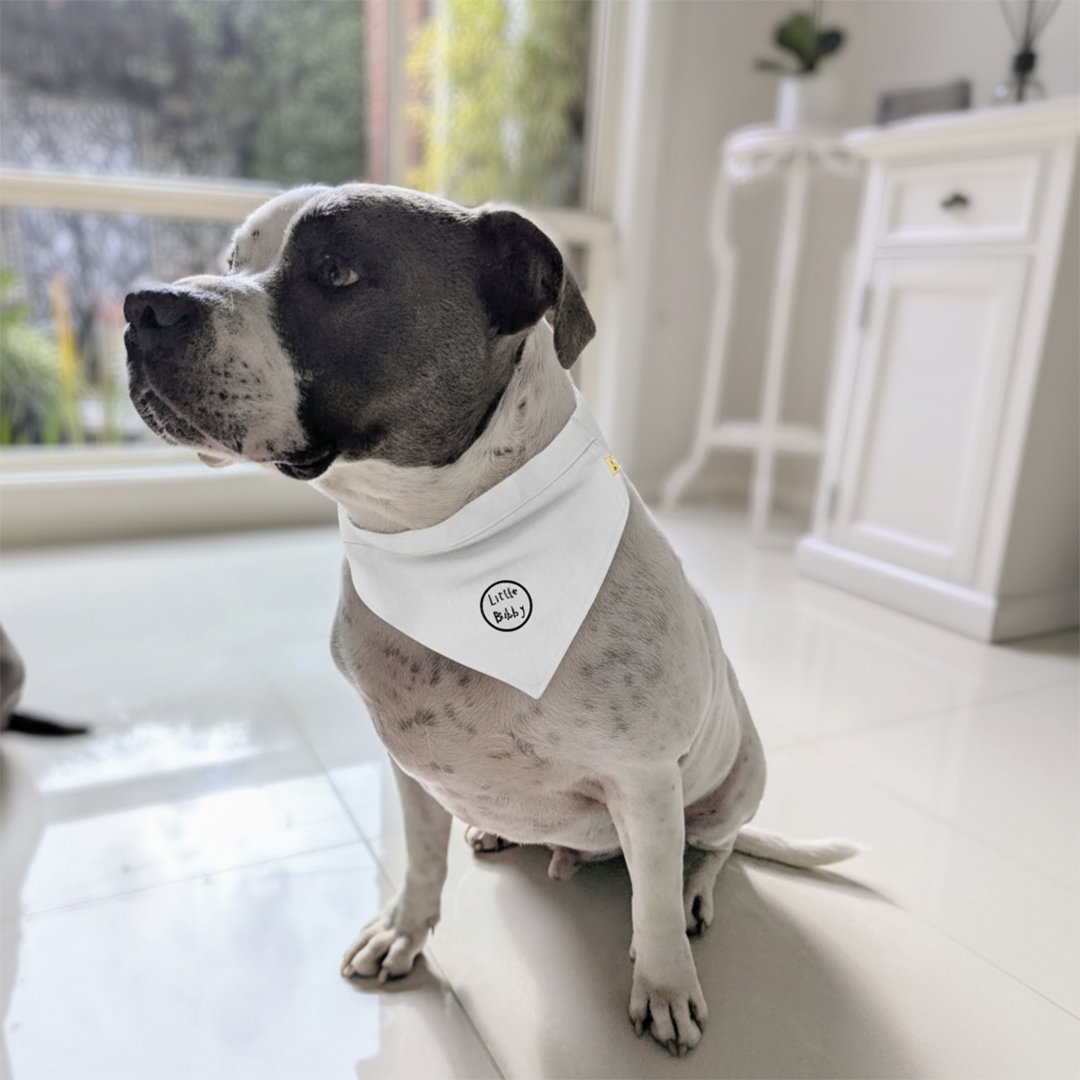 Doggy Bandana